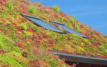 Woolmere Green living roof systems